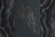 Botany & Moon. Hand Drawn Line Art., a Decorative Illustration by Designwork (Thumbnail 19 of 20)