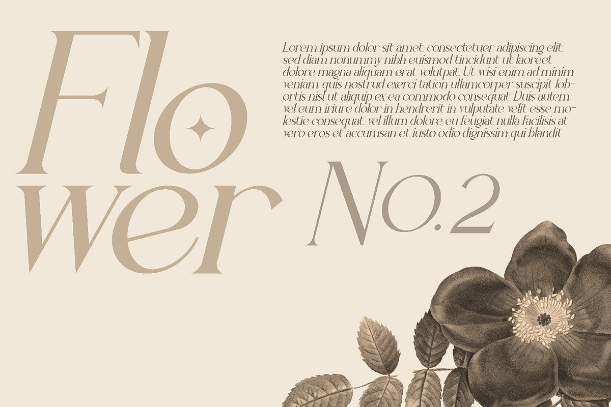 Fluxerist, a Serif Font by Rishsketch (Photo 2 of 13)