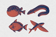 Vintage Fish Engraving, an Animal Illustration by Kaizla03 (Thumbnail 5 of 7)