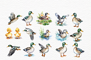 One lucky duck, duck in puddle, an Animal Illustration by Invite to Clipart (Thumbnail 3 of 4)