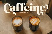 Beatnik Garden Decorative Serif, a Serif Font by Letterena Studios (Thumbnail 5 of 15)