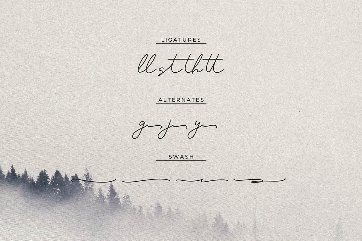 Pasttemy | Monoline Stylish Script, a Script Font by Denustudios (Photo 13 of 15)