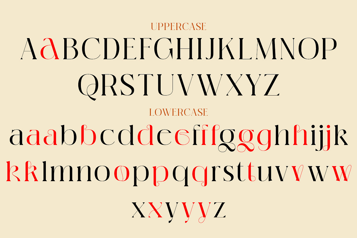 Michiya, a Serif Font by MJtypefoundry (Photo 10 of 11)