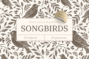 Songbirds graphic collection, a Decorative Illustration by Piñata (Thumbnail 1 of 10)
