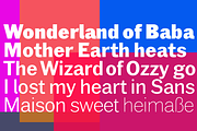 XPress, a Sans Serif Font by Wiescher Design (Thumbnail 8 of 8)