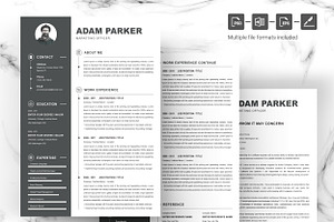 Modern & Professional Colour Resume