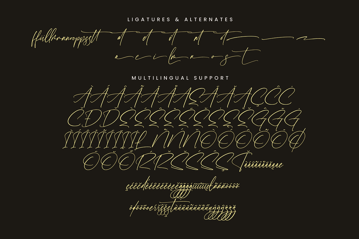 Tomithayen, a Script Font by Integritype Studio (Photo 14 of 15)