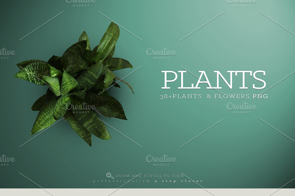Big Bundle Scene Creator +1531 Items, a Product Mockup by 2MK (Photo 8 of 21)