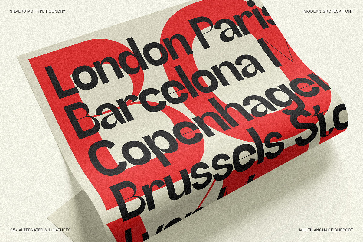 SLTF Refugio - Modern Grotesk Font, a Sans Serif Font by SilverStag Type Foundry (Photo 5 of 30)
