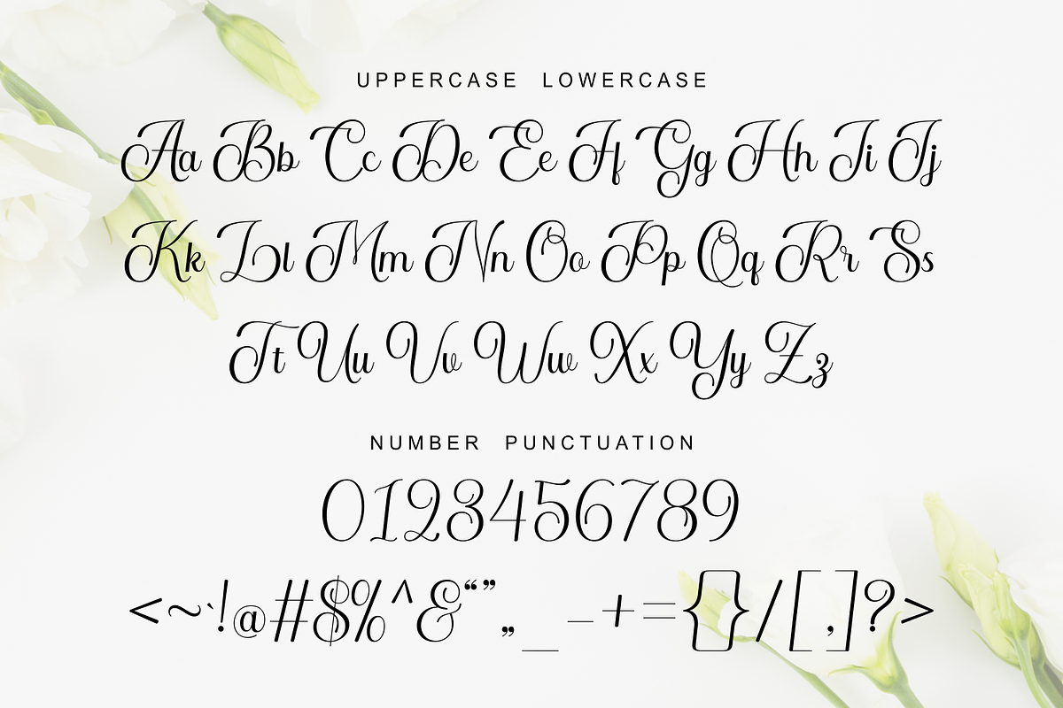 Maryam - Elegant Calligraphy Font, a Script Font by Imiftype Studio (Photo 4 of 10)