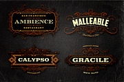 10 Retro/Vintage Banners, a Branding & Logo Template by Cruzine (Thumbnail 4 of 4)