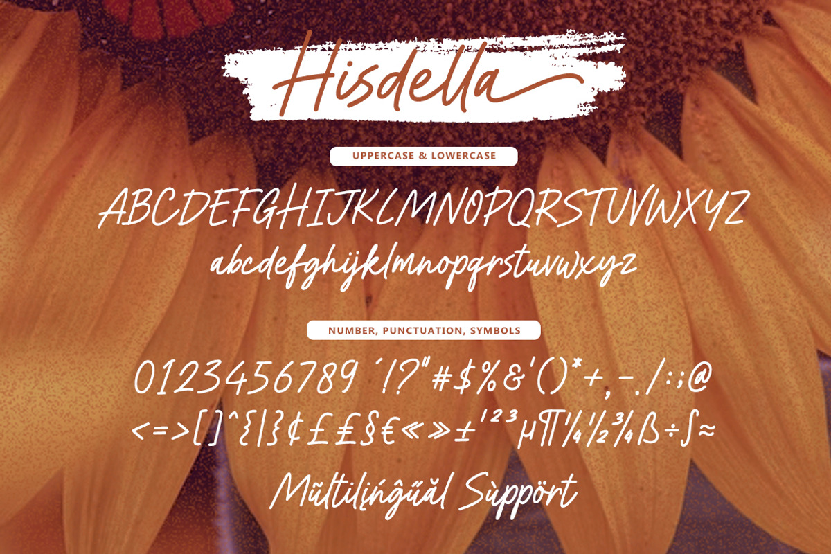 Hisdella - A Handwritten Font, a Handwritten Font by ianmikraz (Photo 6 of 7)