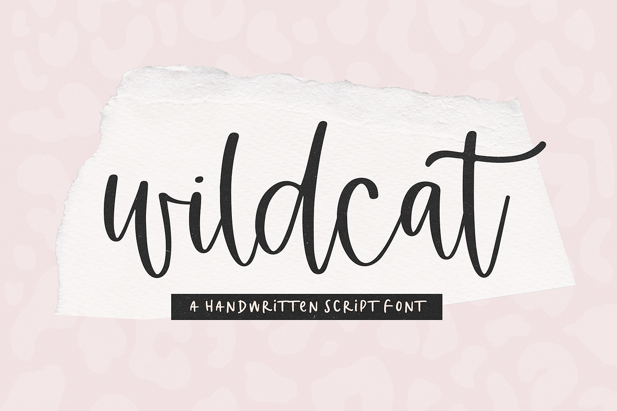 Wildcat | Handwritten Script Font