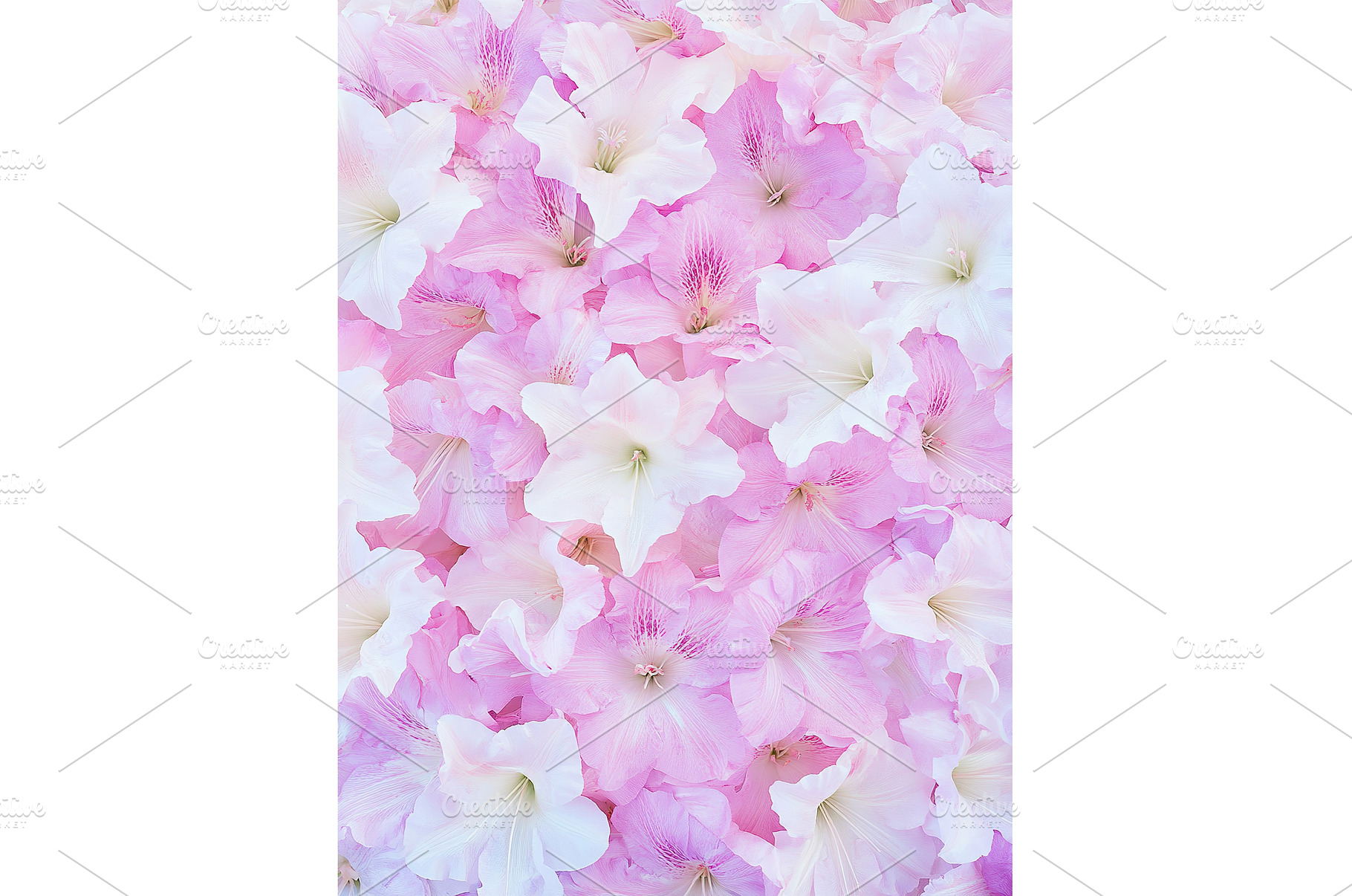 Soft pink and white flowers creating, a Nature Photo by Lermont51