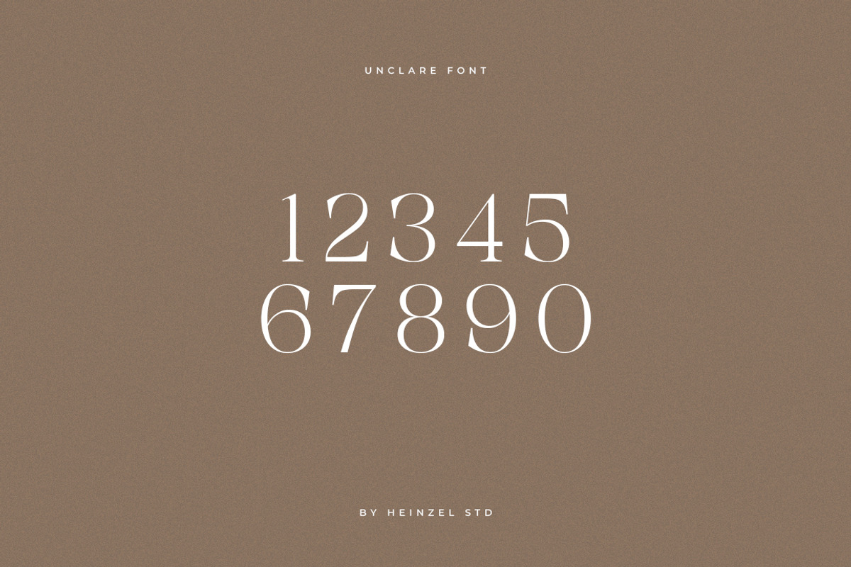 Unclare Modern Ligature Font, a Serif Font by Heinzel Std (Photo 11 of 14)