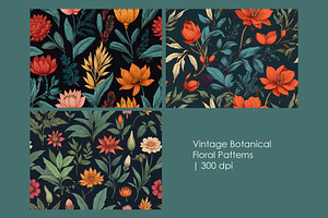 Vintage Botanical Floral Patterns, a Decorative Illustration by StockVerse Creative