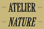 CS Benson Stamp, a Serif Font by Craft Supply Co. (Thumbnail 3 of 8)
