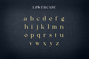 Alibold, a Serif Font by Rishsketch (Thumbnail 10 of 14)