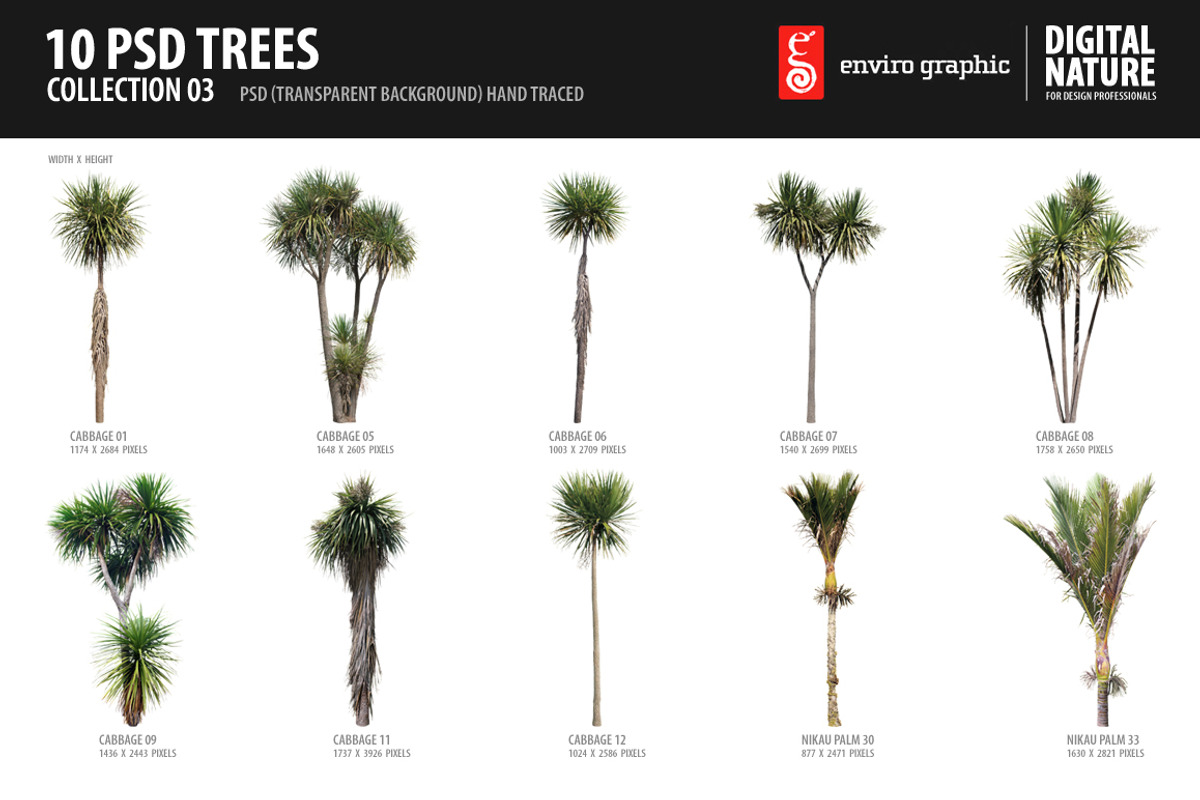 10 PSD Trees Collection 3
