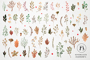 Watercolor autumn leaves and plants, a Decorative Illustration by mikka_kika (Thumbnail 2 of 6)