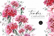 Red Carnation, an Illustration by Olga Koelsch (Thumbnail 1 of 8)