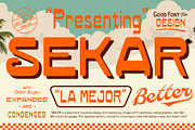 SEKAR — Retro Display Font, a Sans Serif Font by Any-Type® Foundry (Thumbnail 1 of 8)