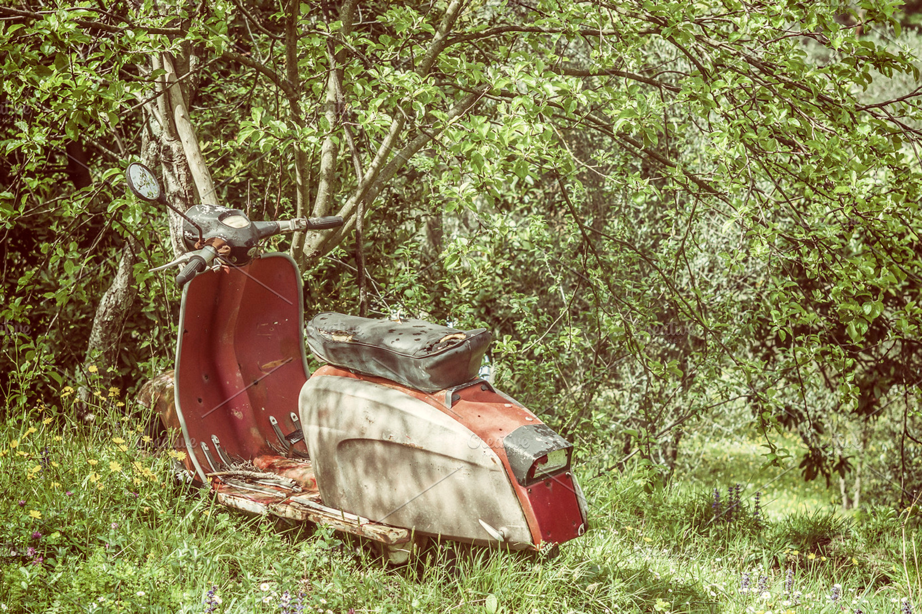 Old Italian Scooter