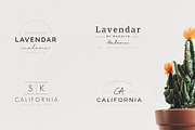 640 Premade Logos Mega Bundle, a Branding & Logo Template by XpertgraphicD (Thumbnail 58 of 109)
