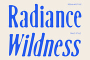 CS Benson Drawn, a Serif Font by Craft Supply Co. (Thumbnail 4 of 8)