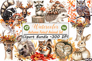 Autumn Forest Animal Set, an Illustration by DreamCafeArt (Thumbnail 1 of 7)