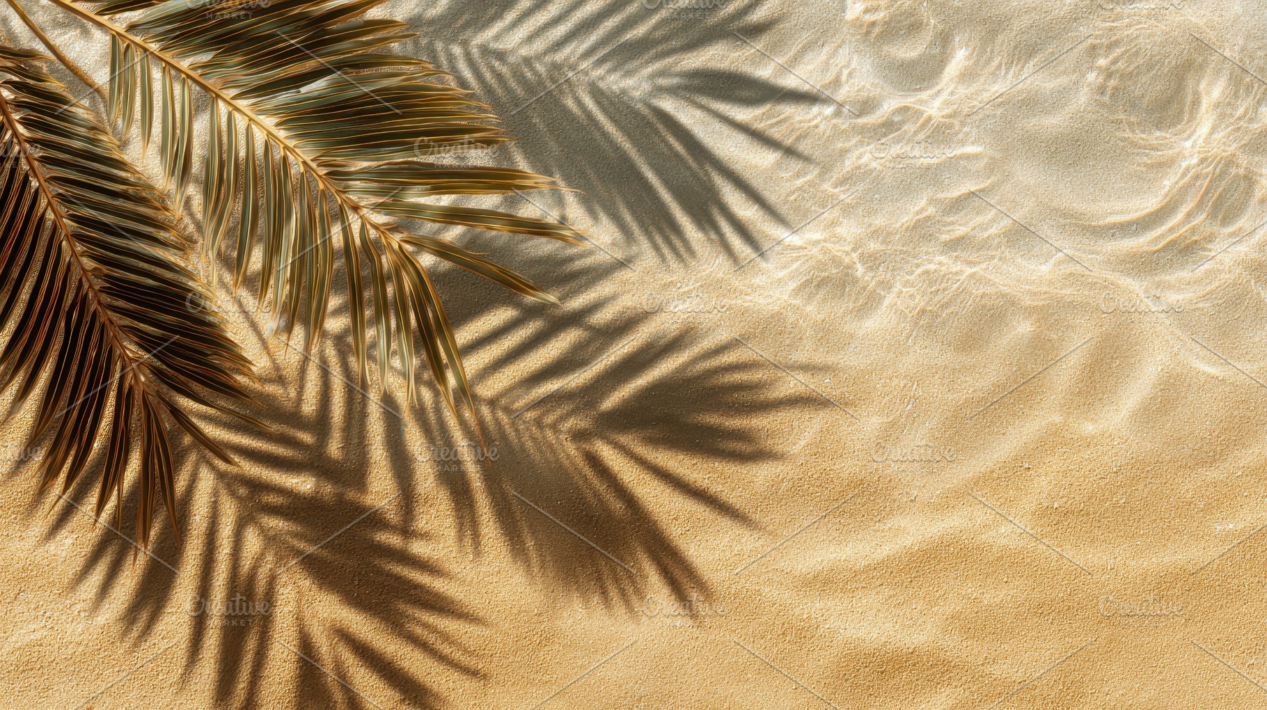 Tropical leaf shadow dances, a Photo by Pavel_design