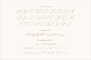 Madyntha Geradine Chic Calligraphy, a Script Font by Storytype Studio (Thumbnail 13 of 15)