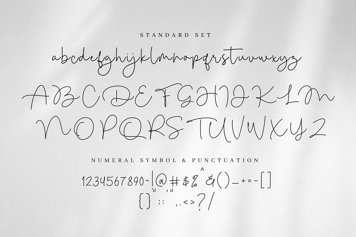 Mallcity - Monoline Script, a Script Font by Sronstudio (Photo 10 of 14)