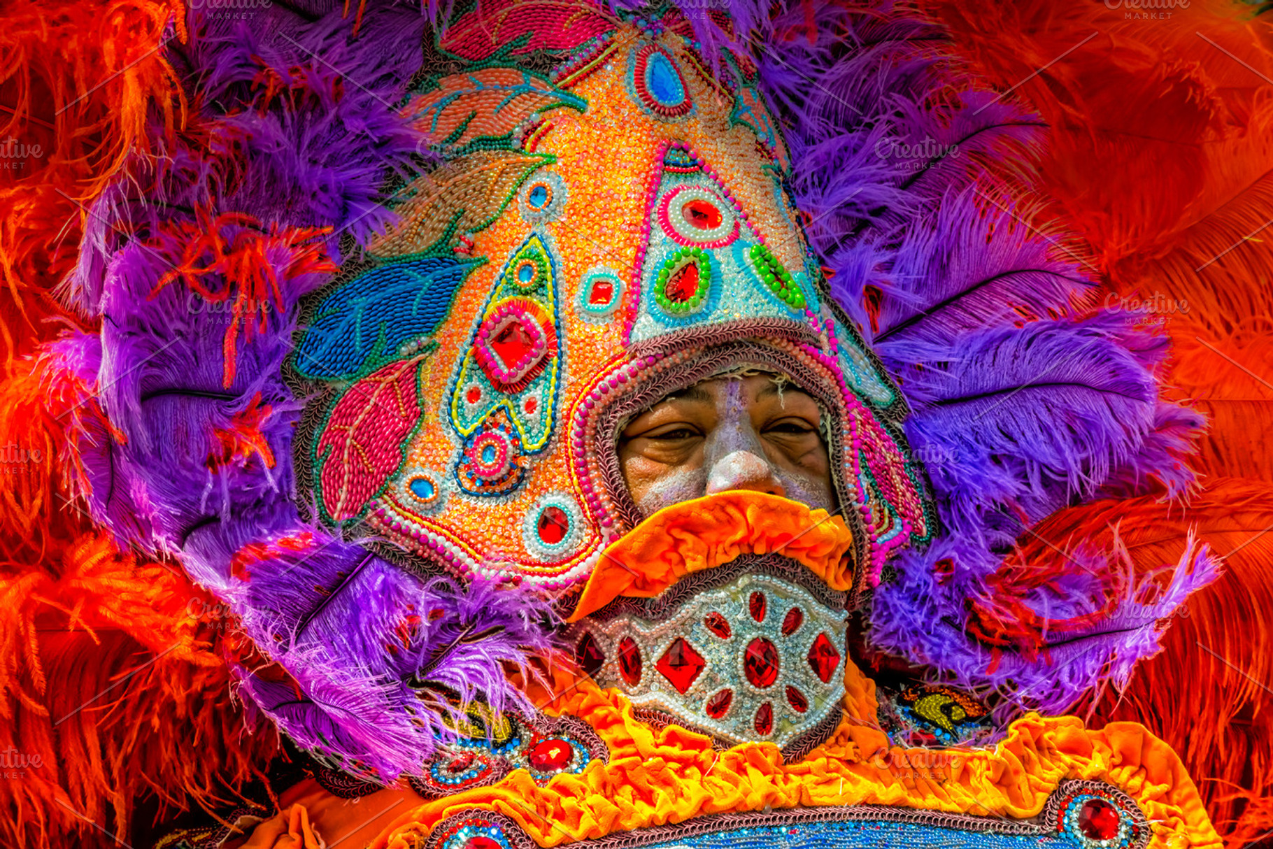 Bright Plumage Mardi Gras Indians