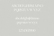 Mage - Elegant & Classic Serif, a Serif Font by mikhailakiyama (Thumbnail 7 of 8)