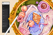 PROCREATE VINTAGE OIL PAINTING KIT, a Brush Add-On by AlexandraArt (Thumbnail 8 of 9)