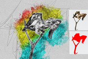 Realistic Pencil Sketch Photoshop, an Action Add-On by MRI STUDIO (Thumbnail 12 of 17)