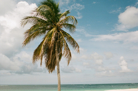 35mmFilm Stock Photo Caribbean Beach