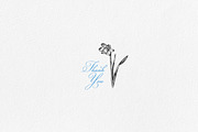 Narcissus LineArt Sketch Clipart Set, a Decorative Illustration by LiiaLonn Studio (Thumbnail 5 of 5)