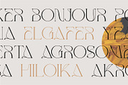 Kiedga Font | Sleek Serif font, a Serif Font by WhymoreArt (Thumbnail 7 of 8)