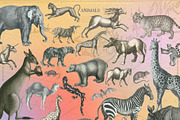 Incredible Collage, an Object Graphic by nadispasibenko (Thumbnail 11 of 15)