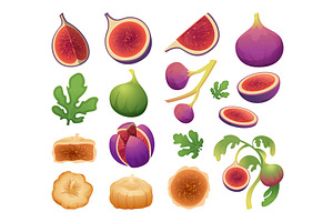 Fig fruits. Healthy natural vitamin, a Food Illustration by Onyx