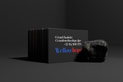 Aleesya Serif Font Family, a Serif Font by Ryul Davidson (Thumbnail 13 of 15)