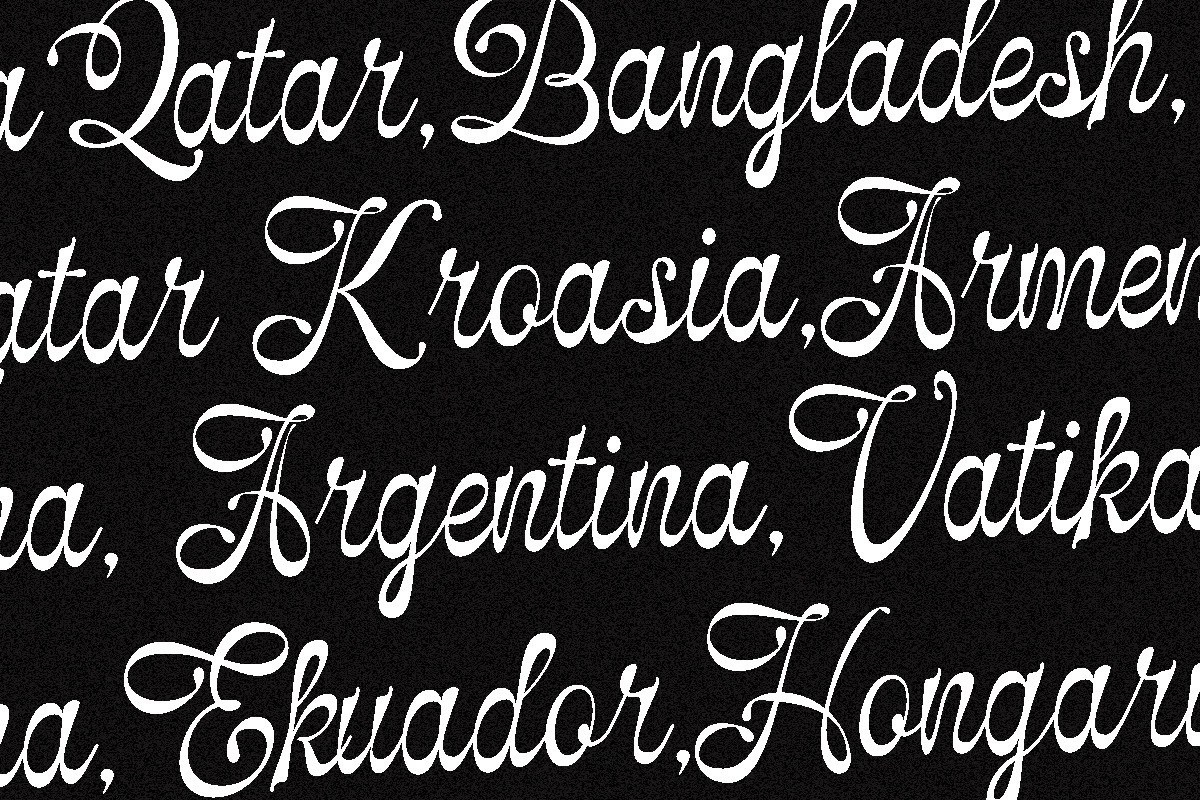 Selfino Script, a Script Font by Madjack.font (Photo 9 of 12)