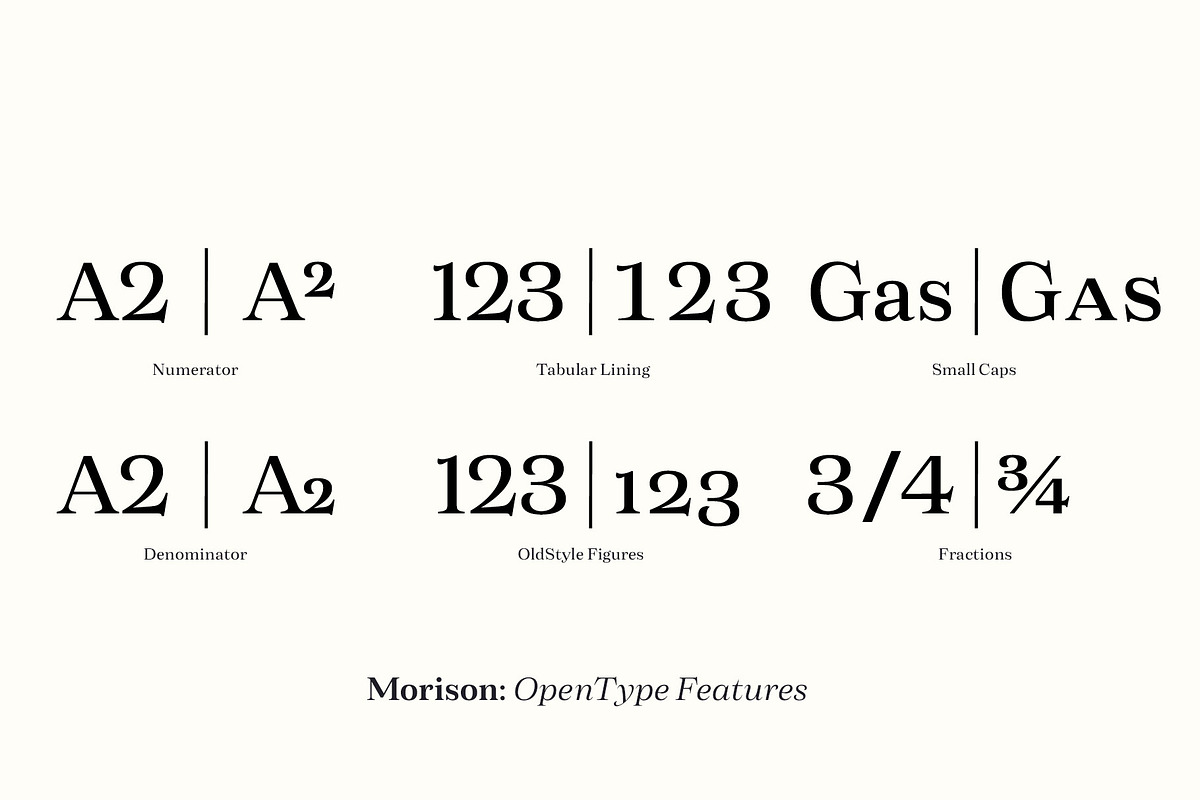 Morison Display & Serif preview 8