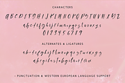 Figmented Script, a Script Font by Beck McCormick (Thumbnail 10 of 10)