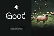 Qalifah | Modern Sans Serif, a Sans Serif Font by Muntab_Art (Thumbnail 5 of 10)