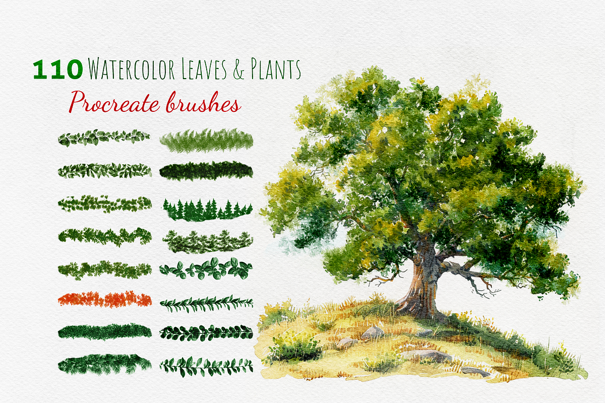 Procreate Leaves and Plants bundle, a Brush Add-On by HopeArtIllustration (Photo 1 of 10)