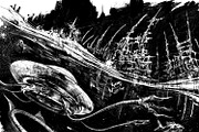 INK. 41+ Clip Studio inking brushes, a Brush Add-On by Eldar Zakirov's (Thumbnail 16 of 17)