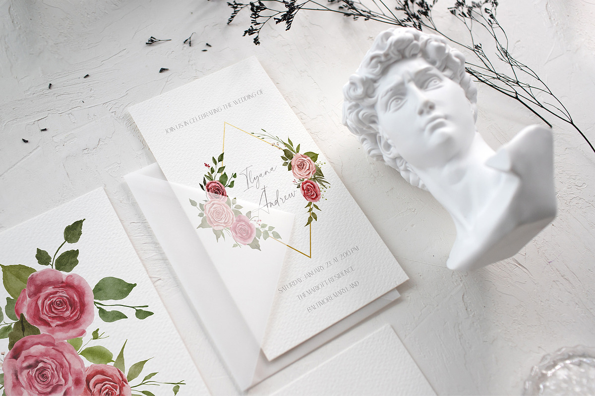 MY DEAR ROSE - Watercolor Roses, an Illustration by Backyard Rose (Photo 9 of 18)